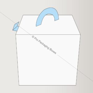 cube-shaped-carrier-boxes