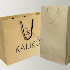 paper-bags-with-string-handles
